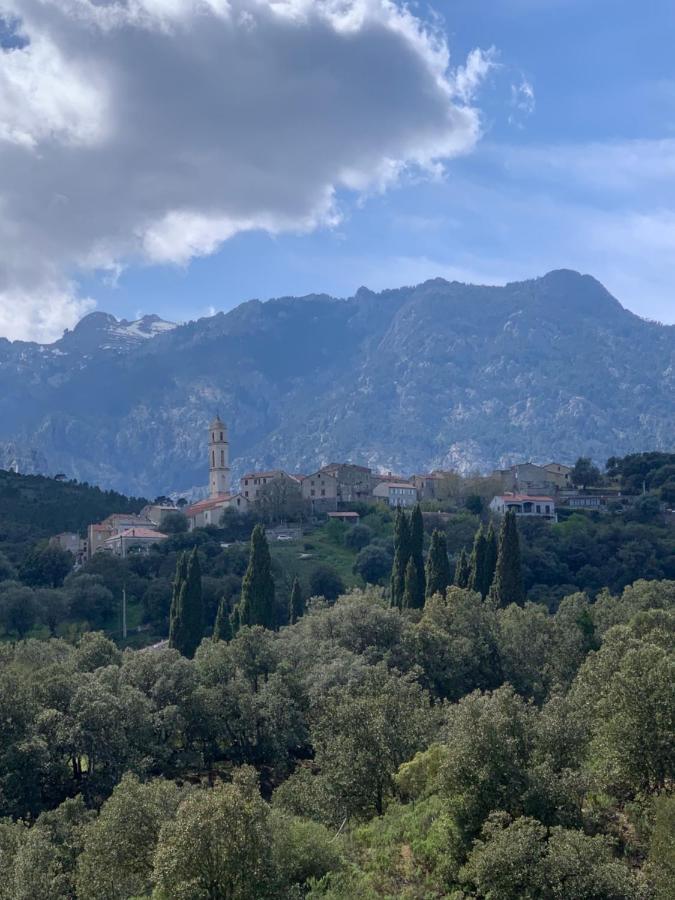 Apartamento A Furtezza Soveria Exterior foto